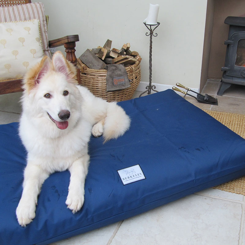 Waterproof Orthopaedic Dog Beds Berkeley Dog Beds CAM Online Shop