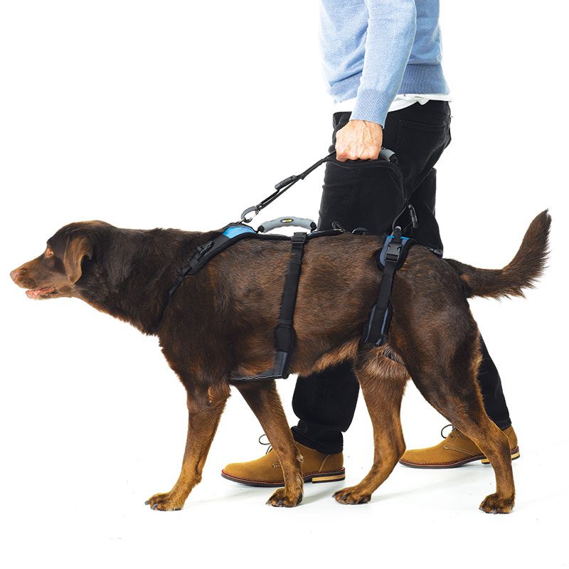 Help ‘Em Up Harness from K9 Mobility - Image 2