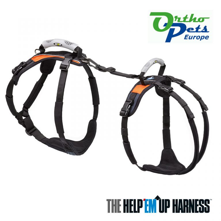 Help ‘Em Up Harness from K9 Mobility CAM Online Shop