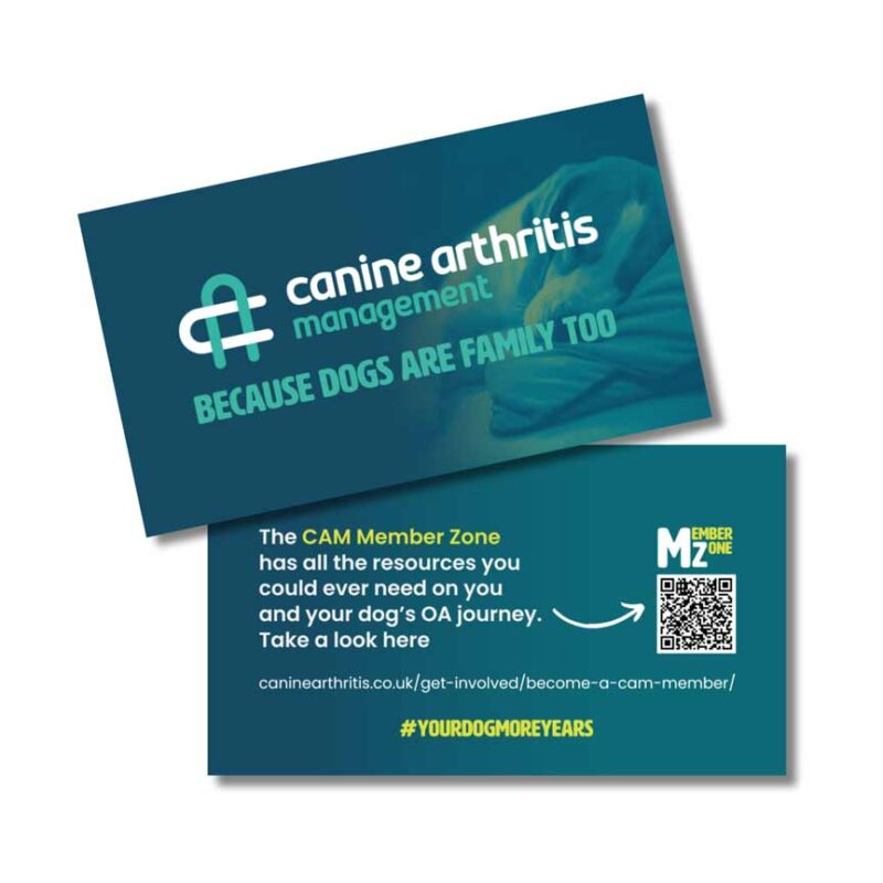 cam online resource business cards bundle x 100