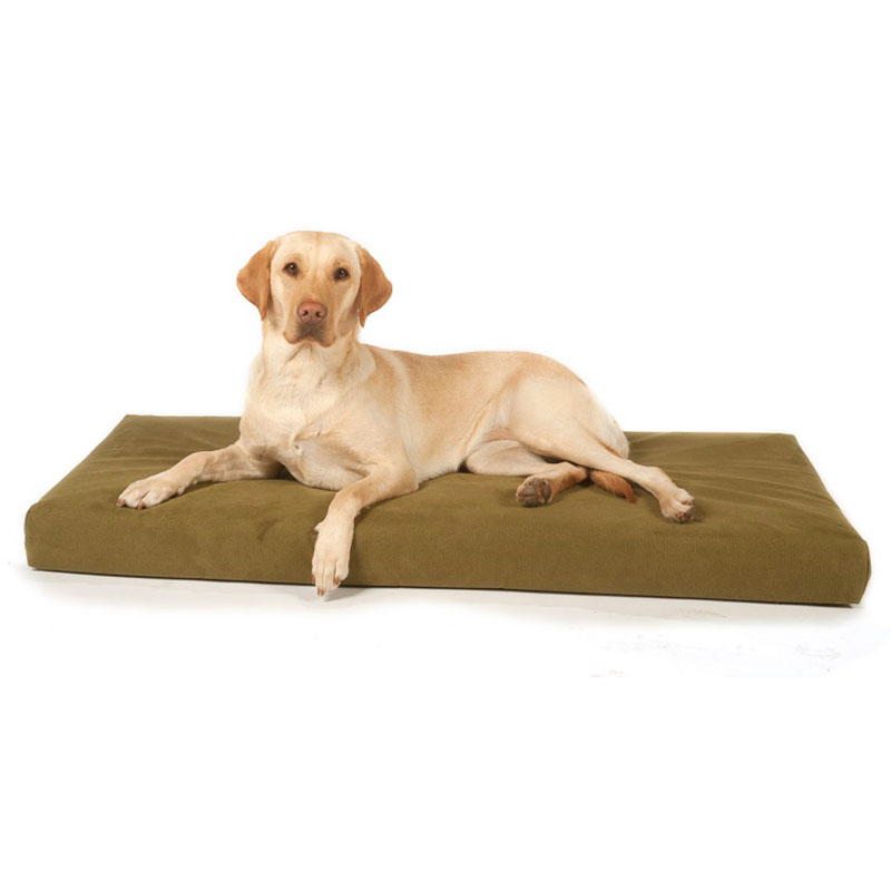 Big Dog Bed Company Active Recovery Orthopaedic Bed