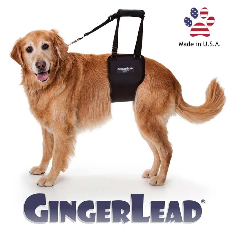 GingerLead