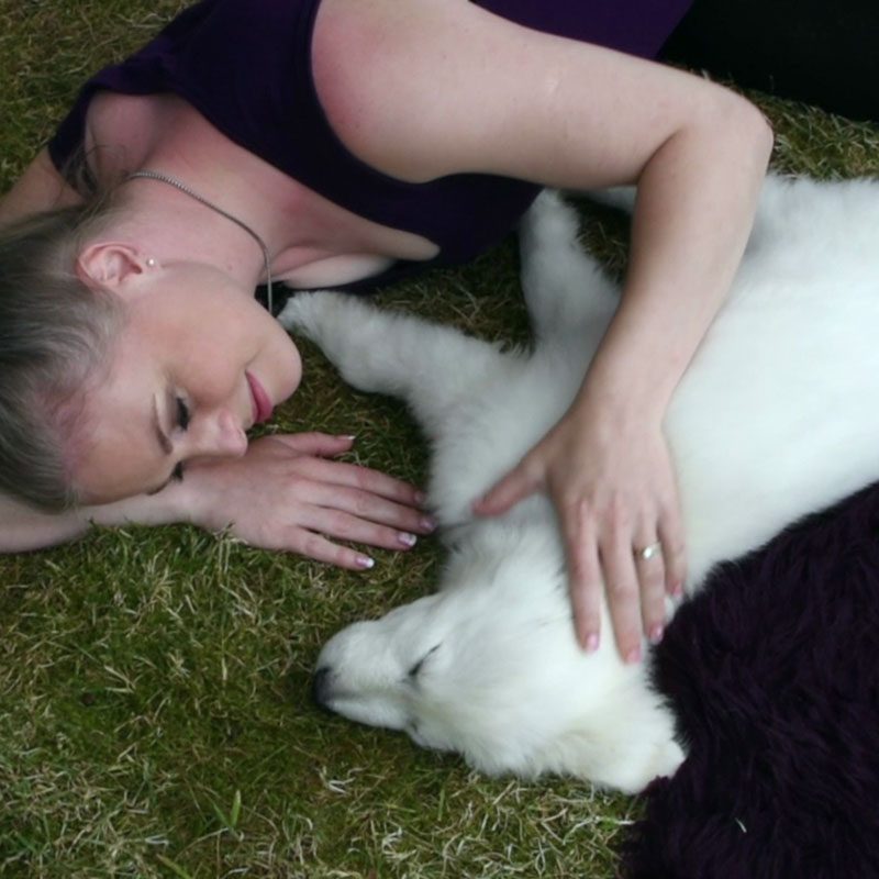 Puppy Massage