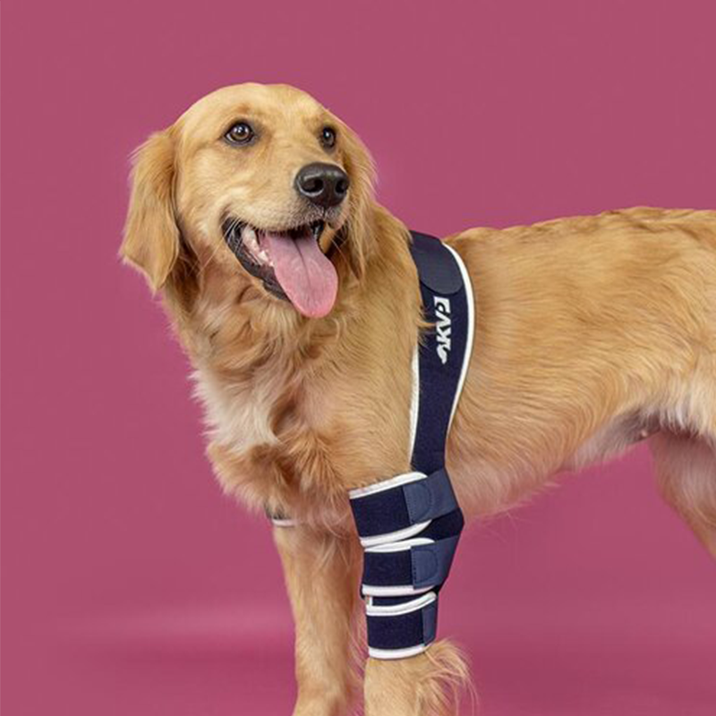Balto® Soft