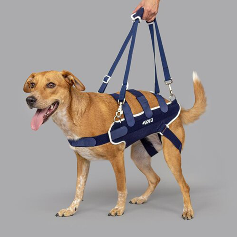 Balto® Body Lift