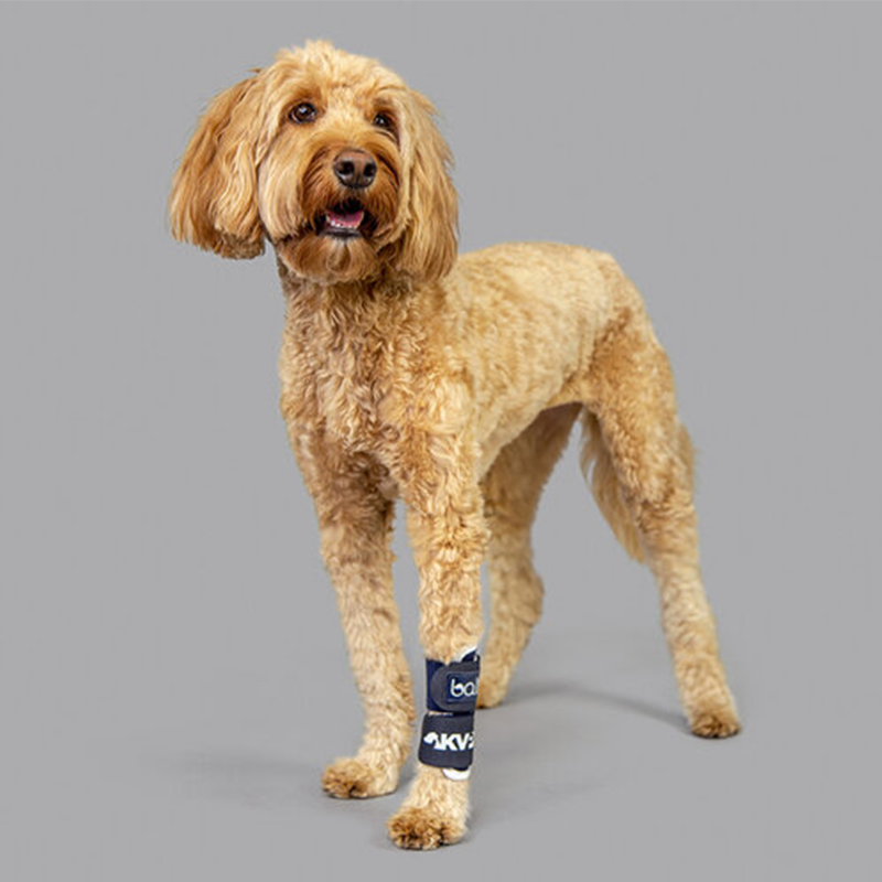 Balto® Joint
