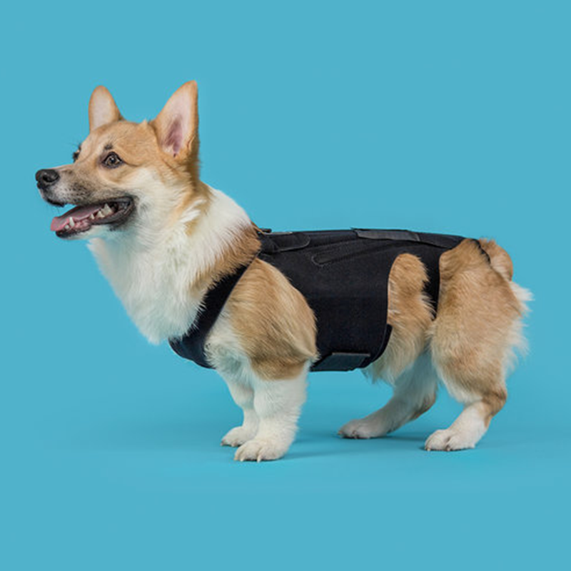 KVP Back Bracer