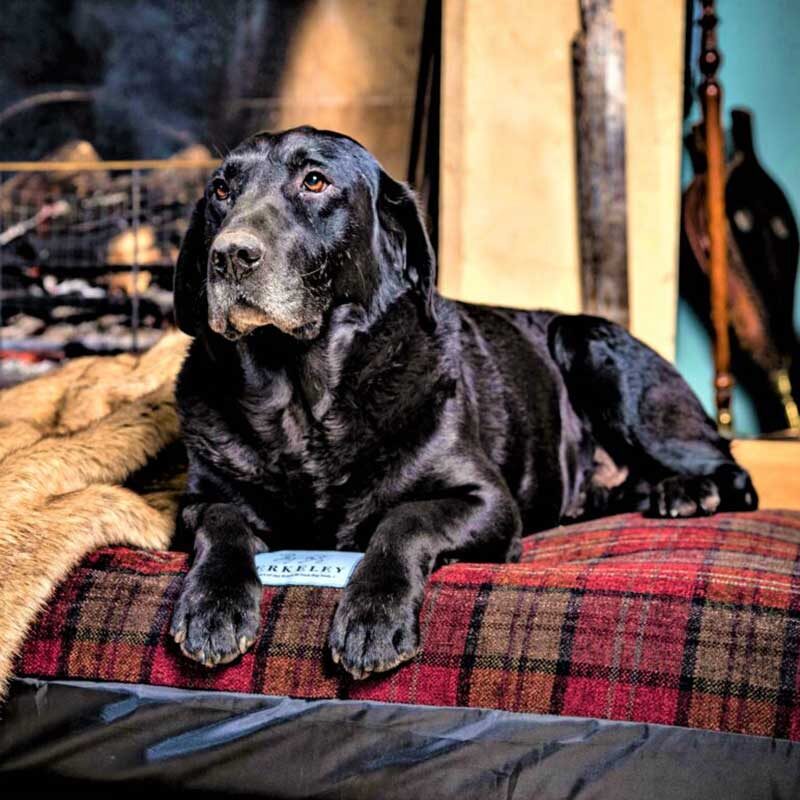 Berkeley Red Tartan