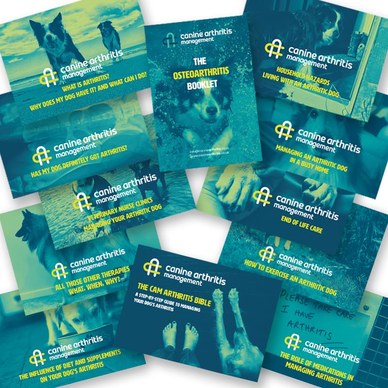 Booklet Bundle 12 Booklet Bundle 12