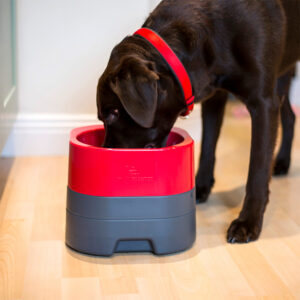 PetWeighter Pet Bowls