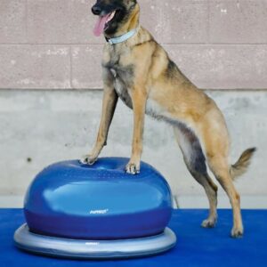 FitPAWS Donut Holder