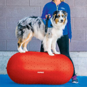 FitPAWS Trax Peanut