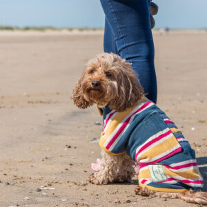 Ruff and Tumble Design Collection Dog Drying Coat