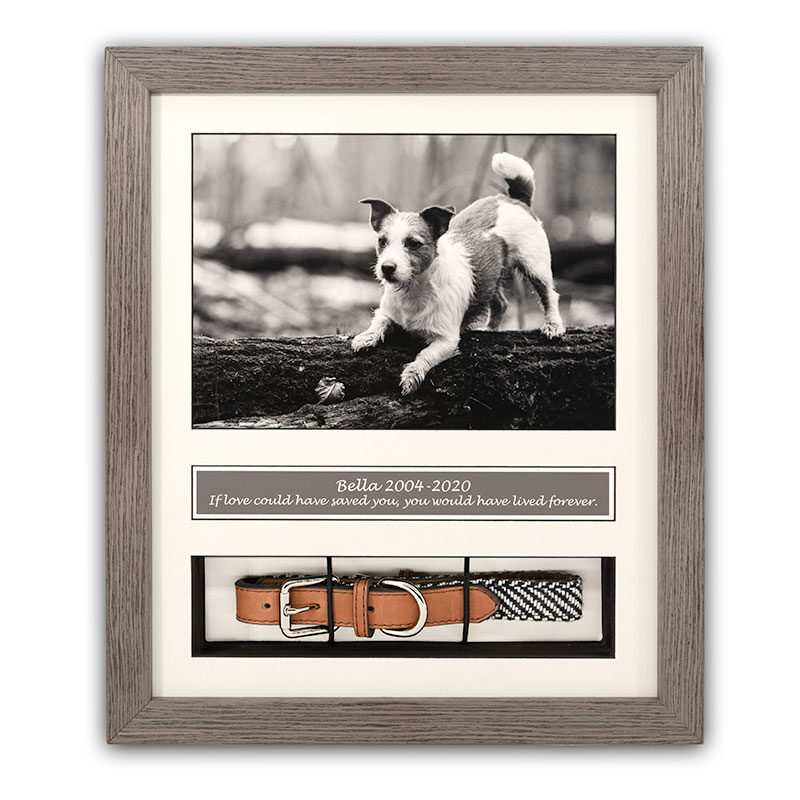 12x10 Collar Frame