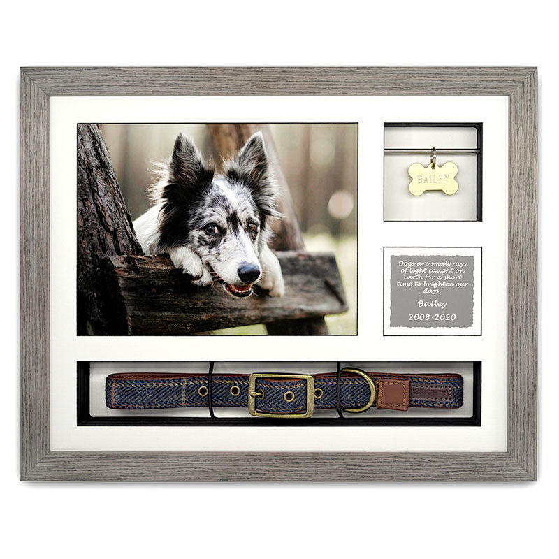 14x11 Collar Tag Frame