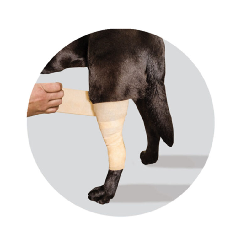 Cold Compression Bandage CAM Online Shop