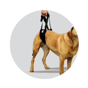 Helping Hand Dog Sling