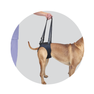 Helping Hand Support Harness - Offloading