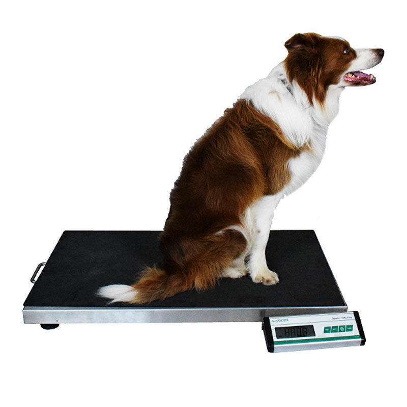 Marsden Scales V 150 With Dog