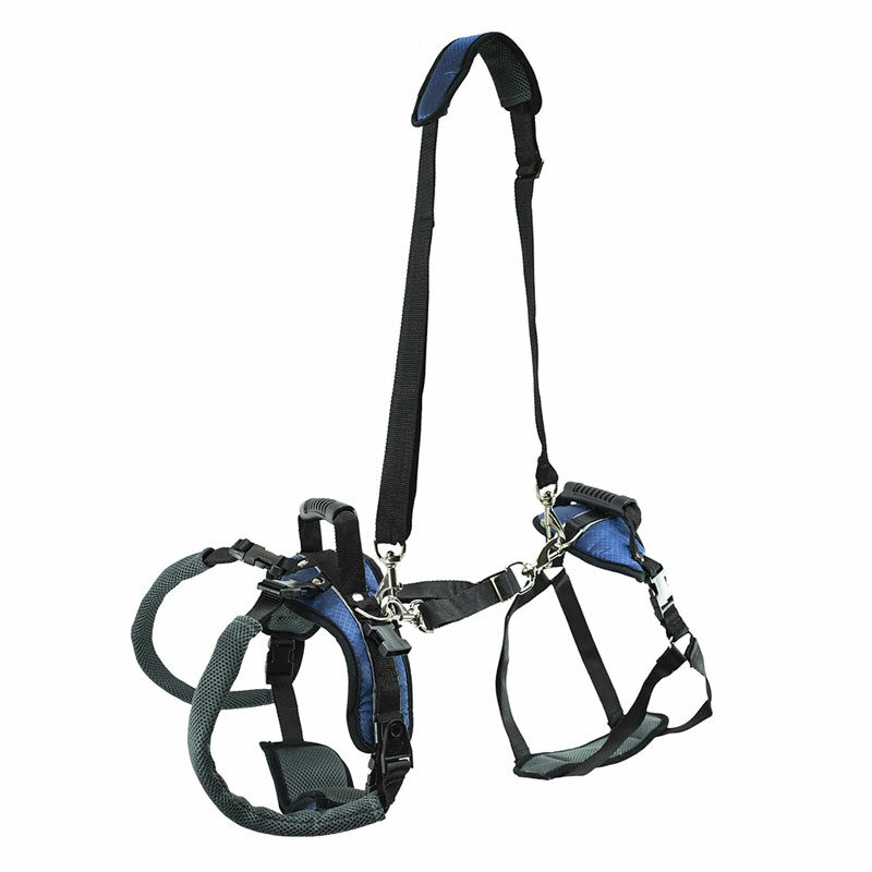 CareLift Support Harness Close Up