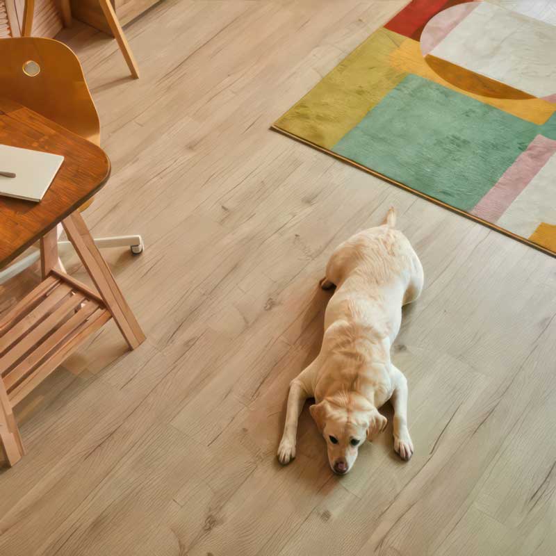 floors for paws