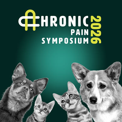 chronic pain symposium 2025