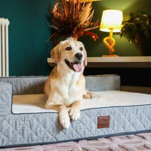 big barker beds (copy)