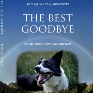 "the best goodbye" book by donna wills.