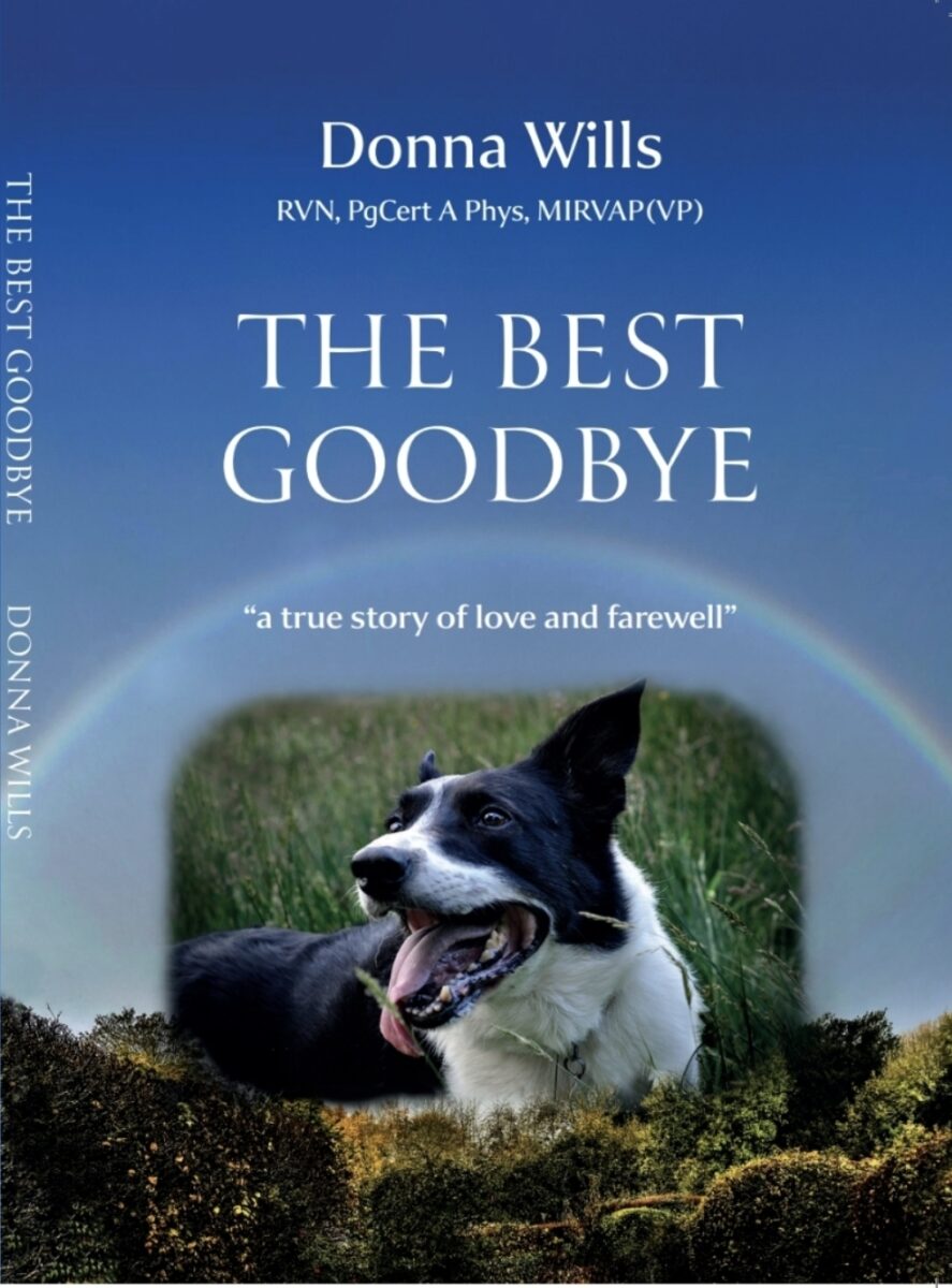 "the best goodbye" book by donna wills.