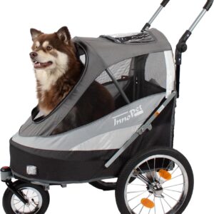 innopet sporty dog trailer deluxe