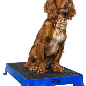 cato board dog training platform