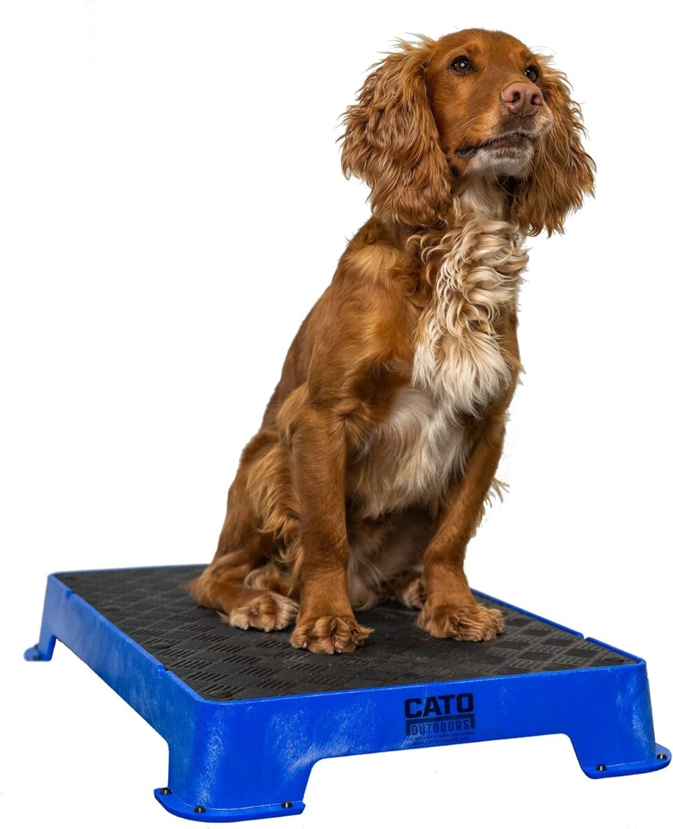 cato board dog training platform