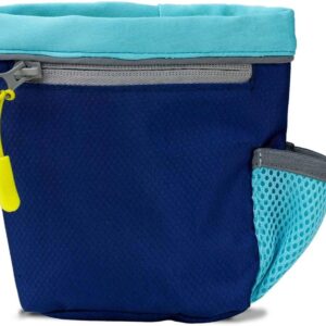coachi train & treat bag