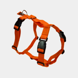 canuzzo dog harness