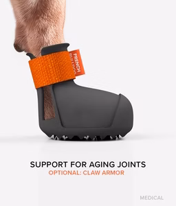 bark & sole arthritis dog shoe