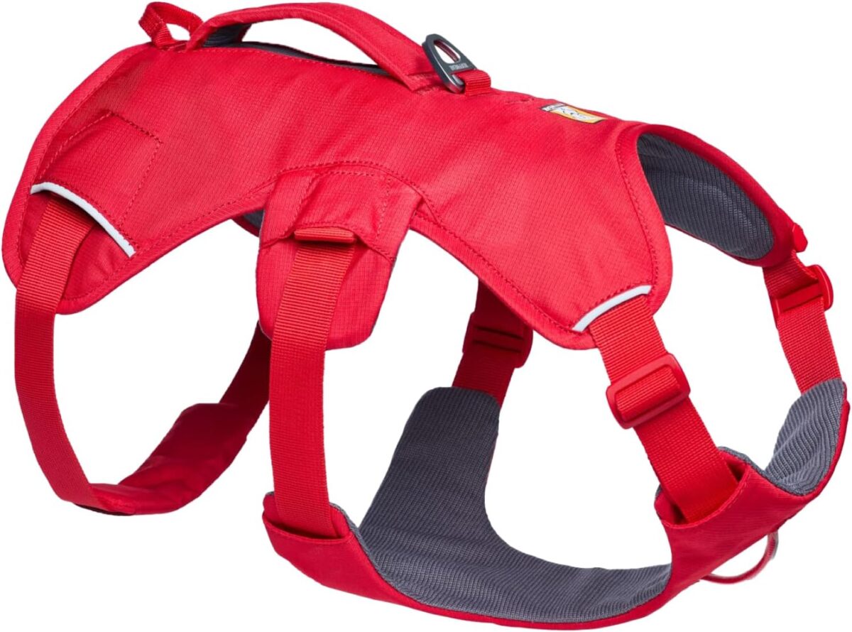 ruffwear web master dog harness