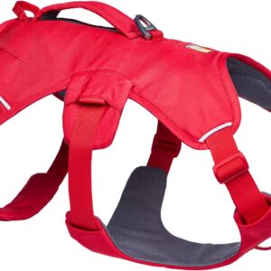 ruffwear web master dog harness