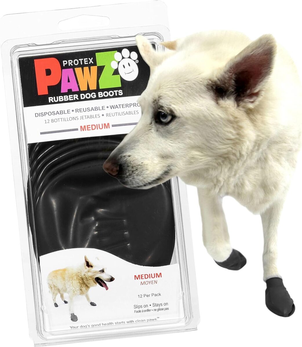 pazz dog black dog boots