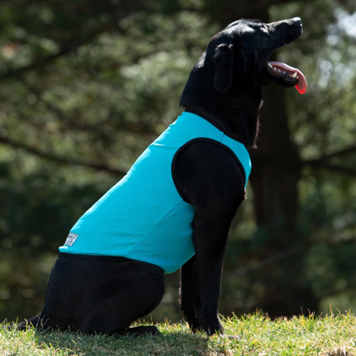 terrain dog cooling vest cooling fabric powered by coolcore technology