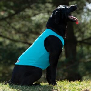 terrain dog cooling vest cooling fabric powered by coolcore technology