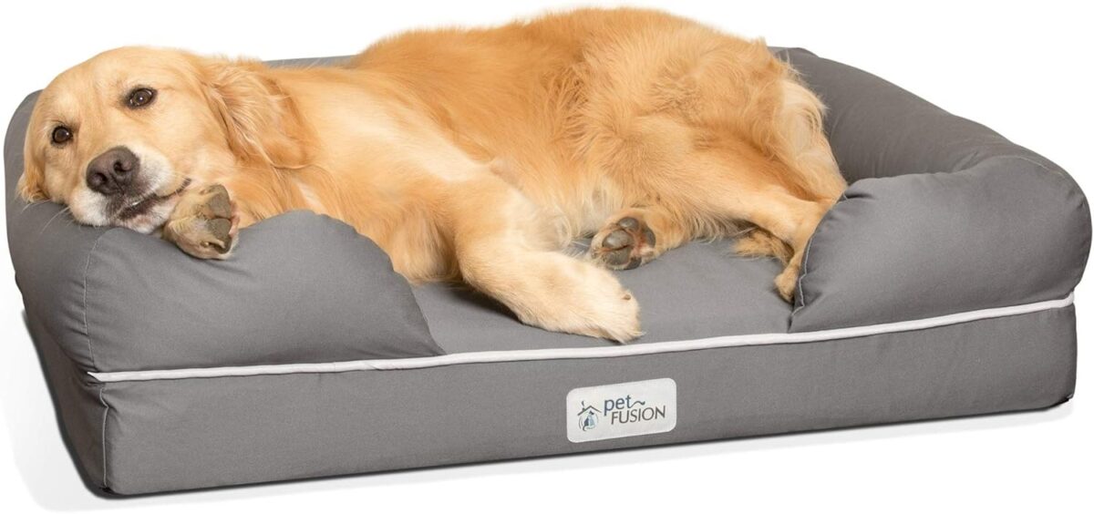 petfusion memory foam dog bed