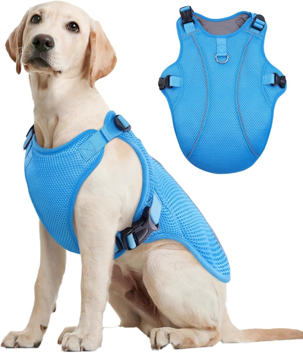 dog cooling vest