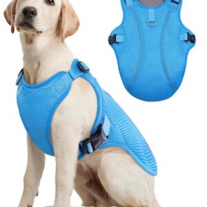 dog cooling vest