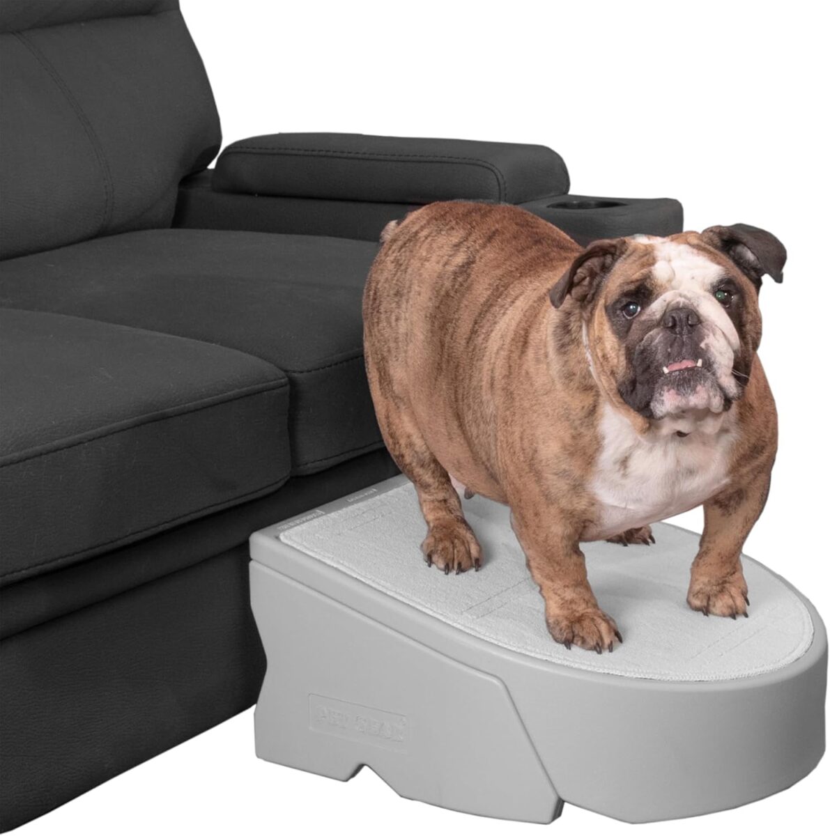 pet gear stramp stair and ramp combination