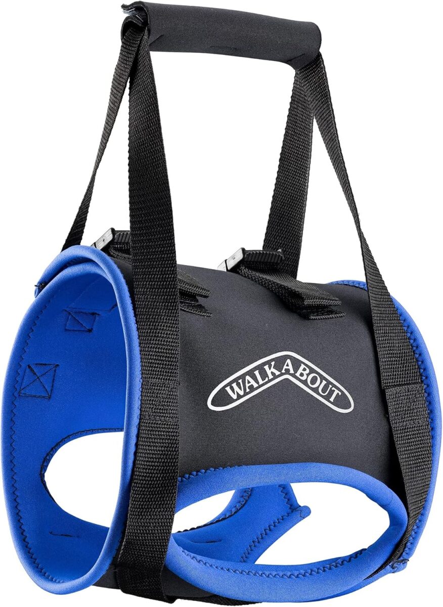 walkabout back end harness