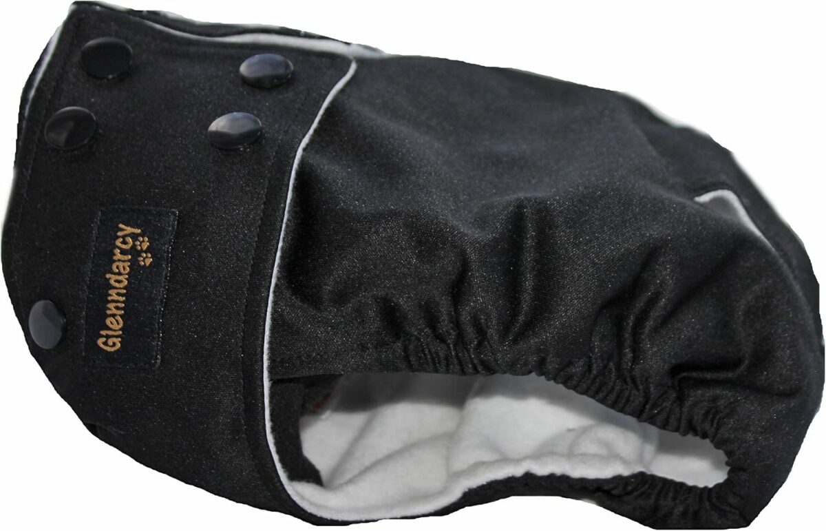 female incontinence pants & 2 x washable pads