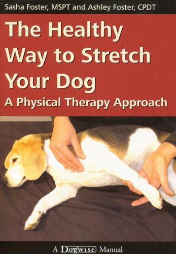 the healthy way to stretch your dog: a physical therapy approach