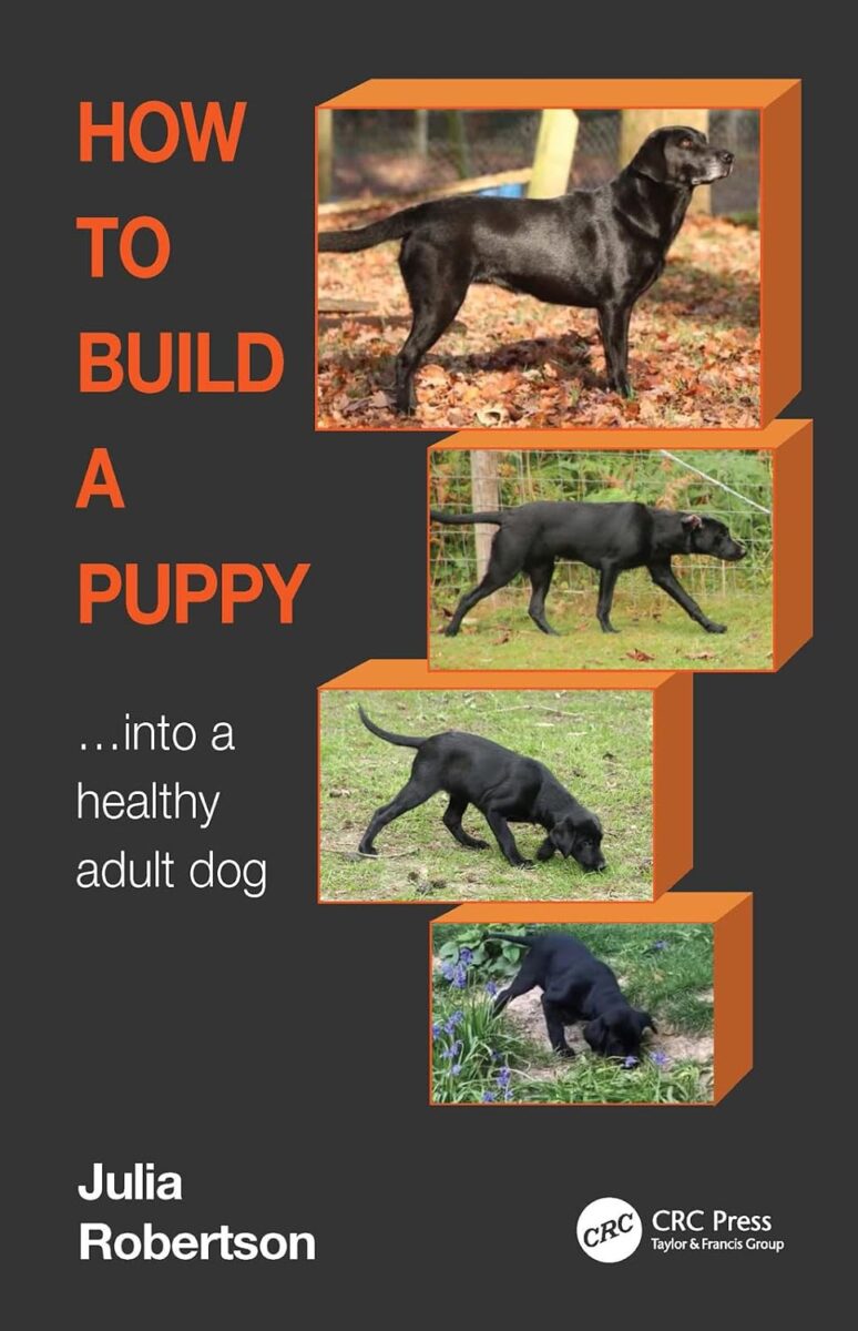 how to build a puppy: into a healthy adult dog