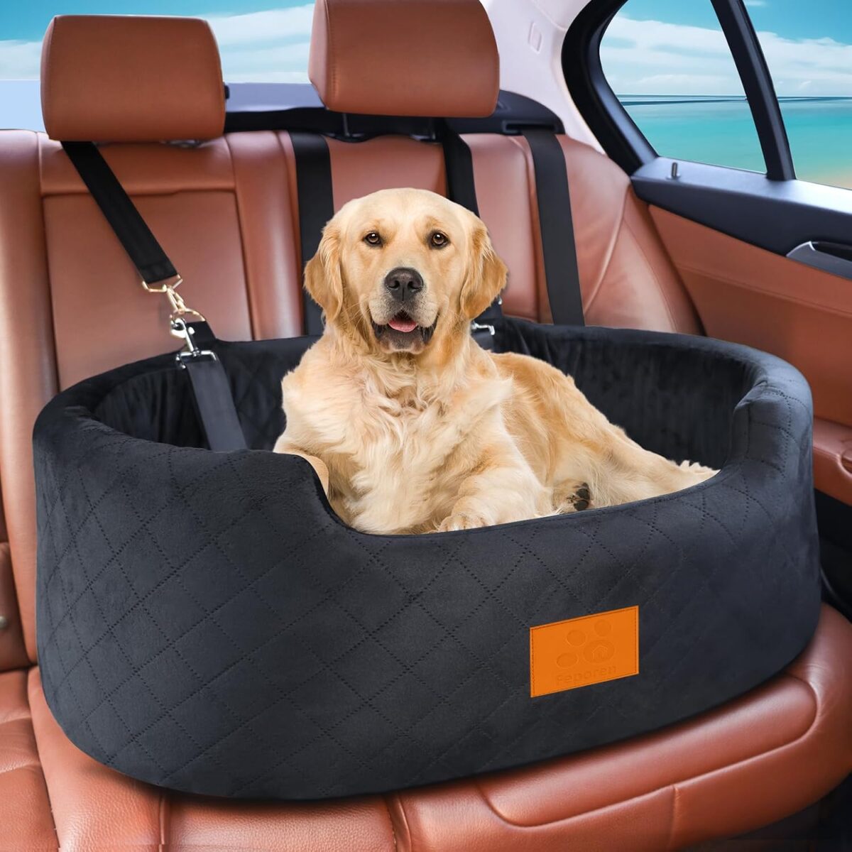elevated booster seat