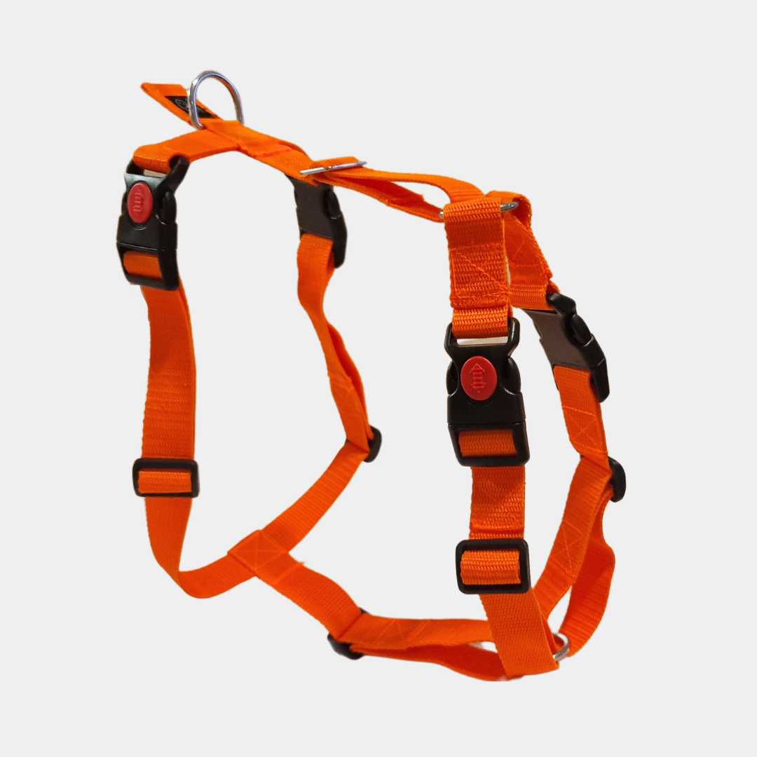 canuzzo dog harness (xs xl)